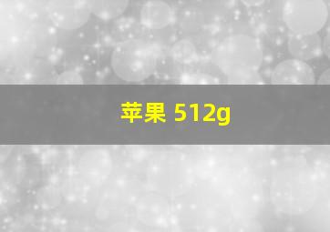 苹果 512g